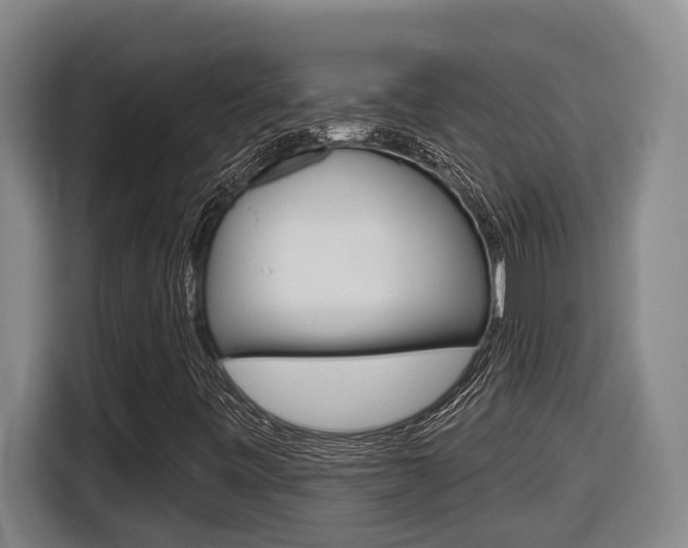 X0000116511443200912090938