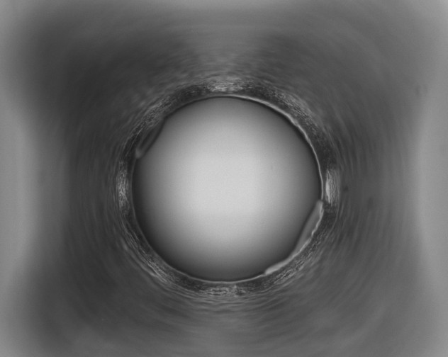 X0000116511444200912090938