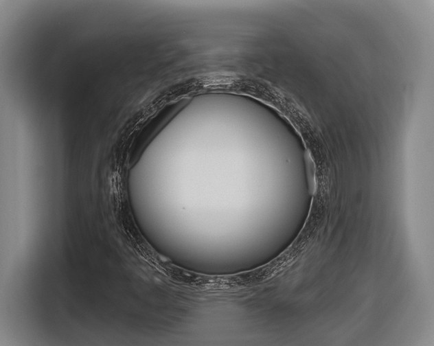 X0000116511445200912090938