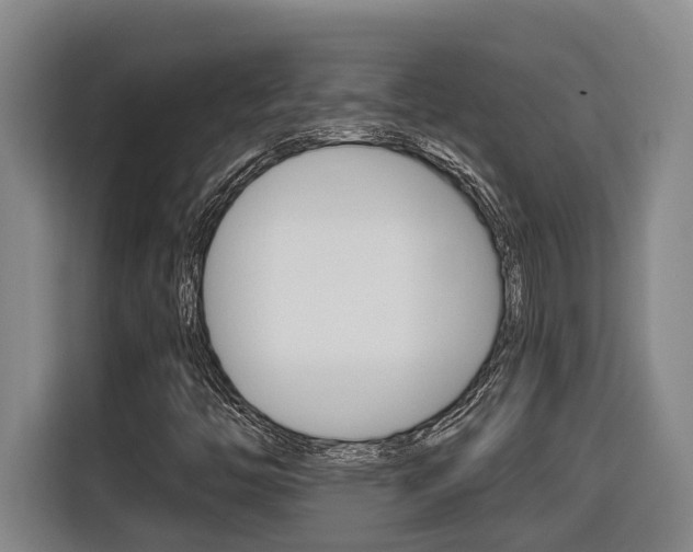 X0000116511446200912090938