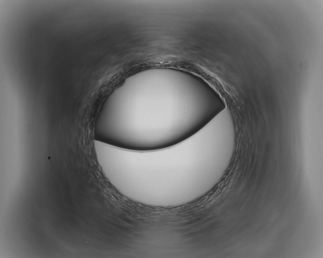 X0000116511447200912090938