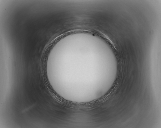 X0000116511448200912090938