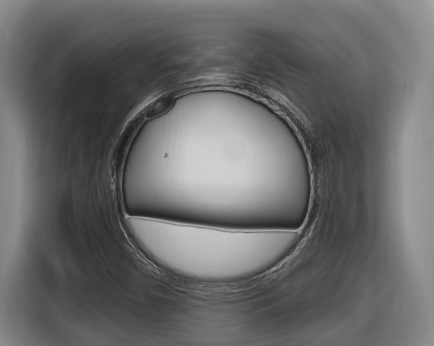 X0000116511450200912090938
