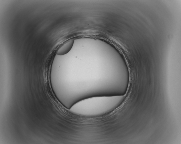 X0000116511451200912090938