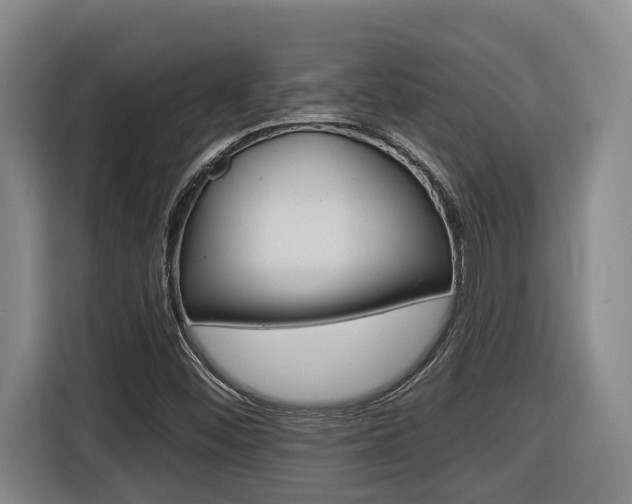 X0000116511452200912090938