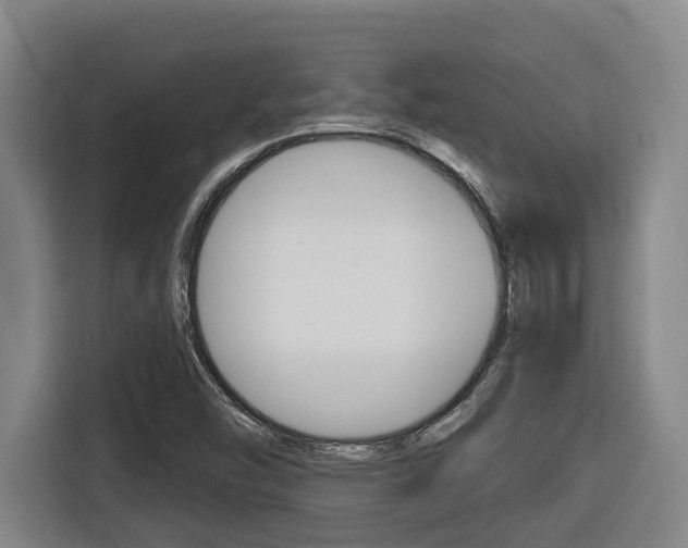 X0000116511454200912090938