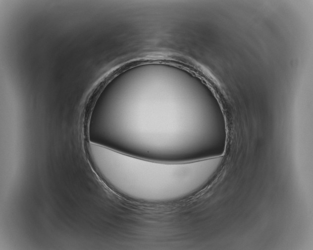 X0000116511456200912090937