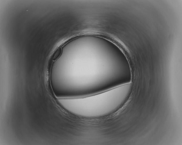 X0000116511461200912090937