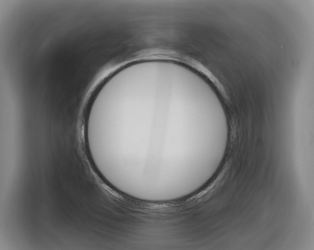 X0000116511462200912090937
