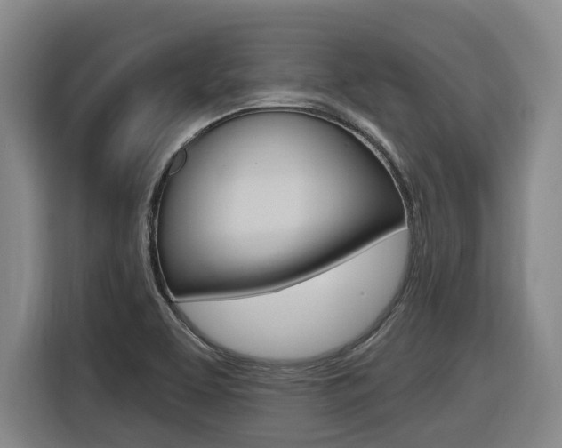 X0000116511463200912090937