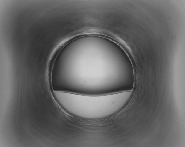 X0000116511464200912090937
