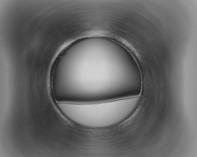 X0000116511469200912090937