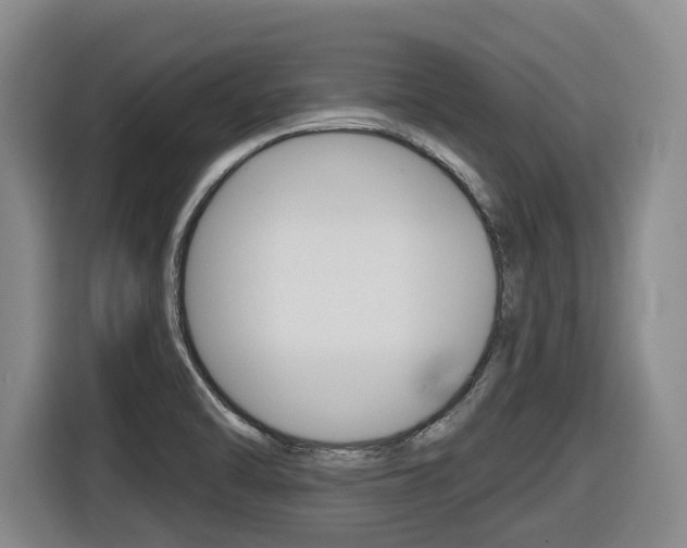 X0000116511470200912090937