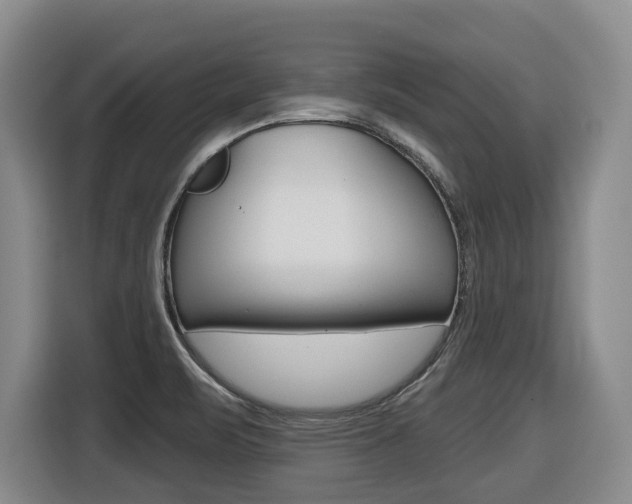 X0000116511471200912090937