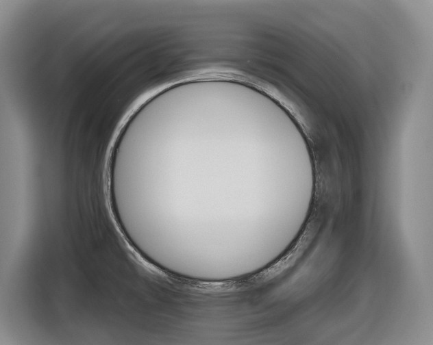 X0000116511478200912090937