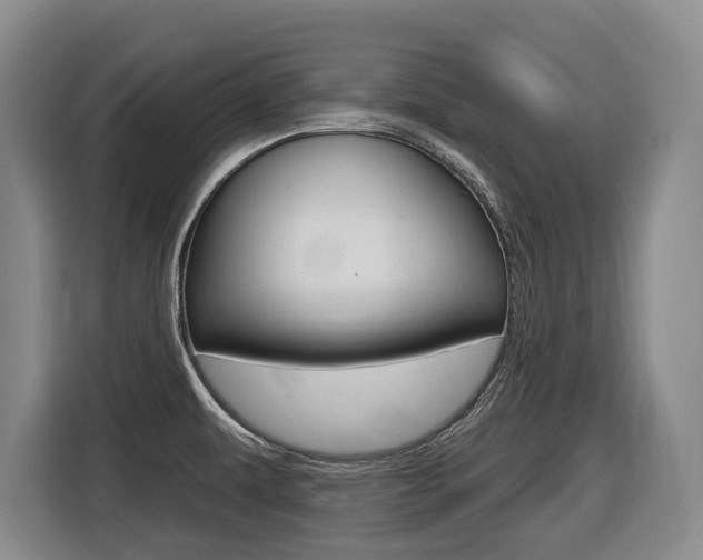X0000116511479200912090937