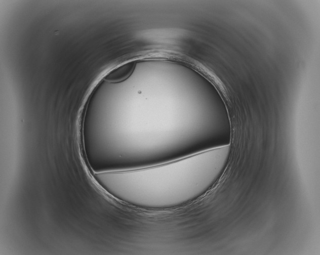 X0000116511483200912090937