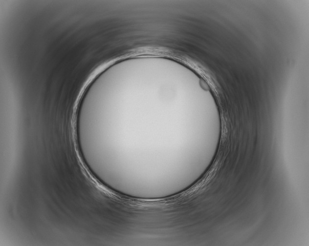 X0000116511486200912090937