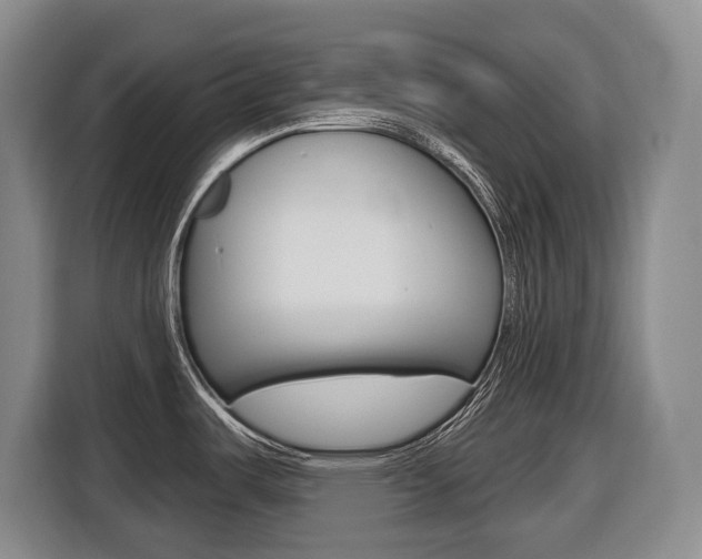 X0000116511487200912090937