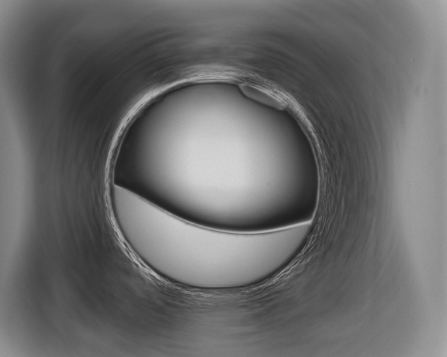 X0000116511488200912090937