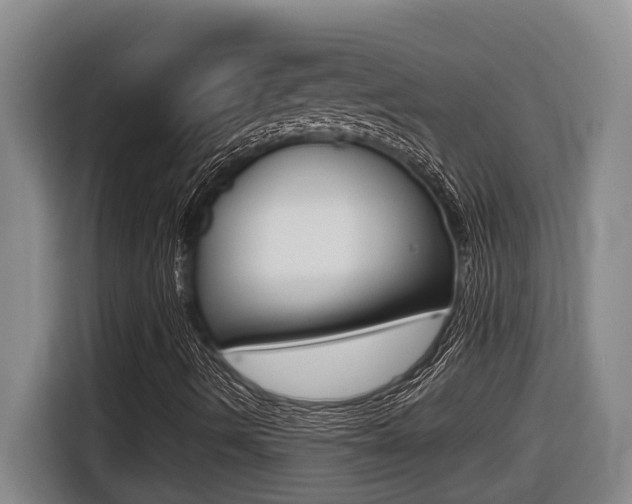 X0000116511490200912090936