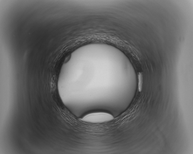 X0000116511491200912090936