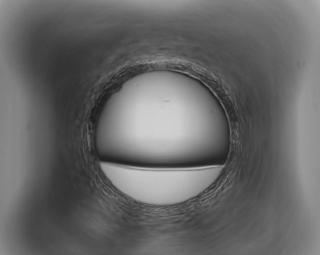 X0000116511493200912090937