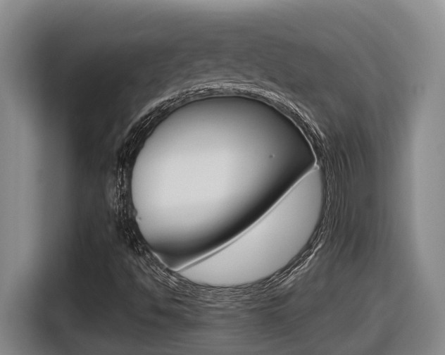 X0000116511494200912090937