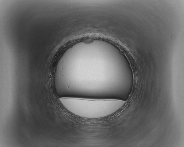 X0000116511495200912090937