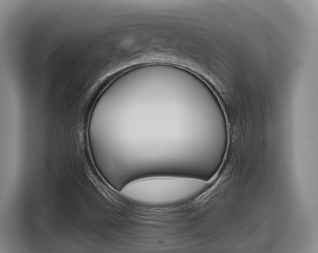 X0000116511499200912090937