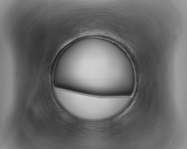 X0000116511505200912090937