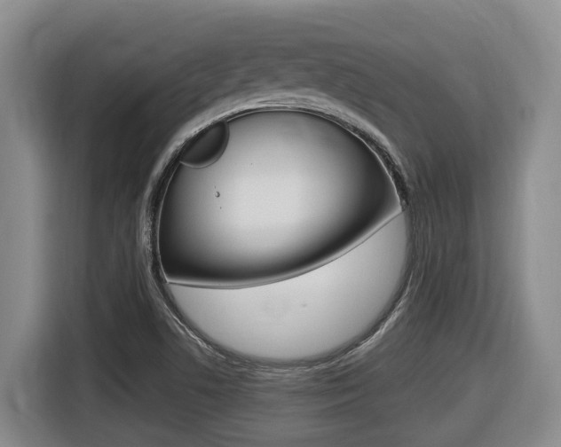 X0000116511506200912090937