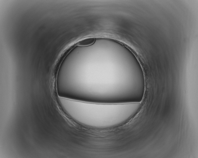 X0000116511507200912090937