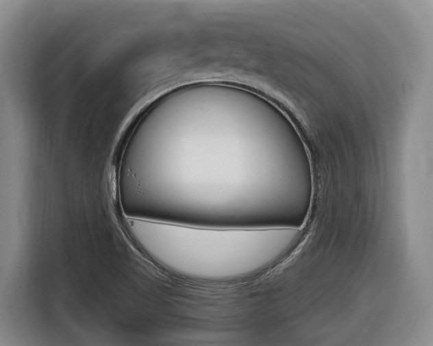 X0000116511509200912090937