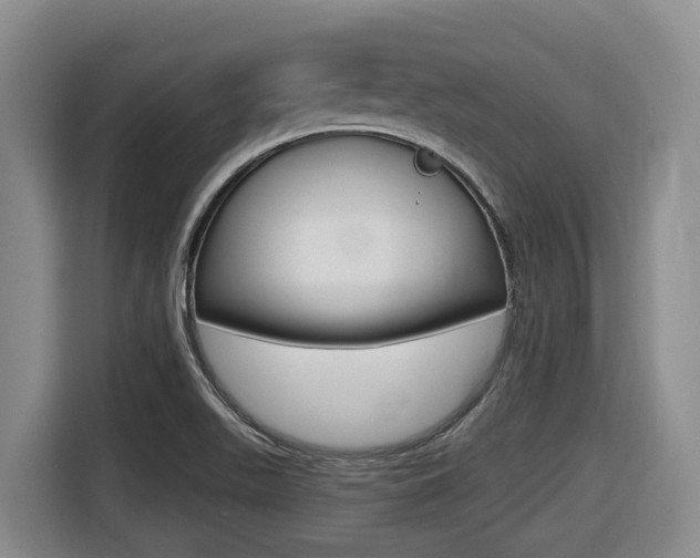 X0000116511511200912090937