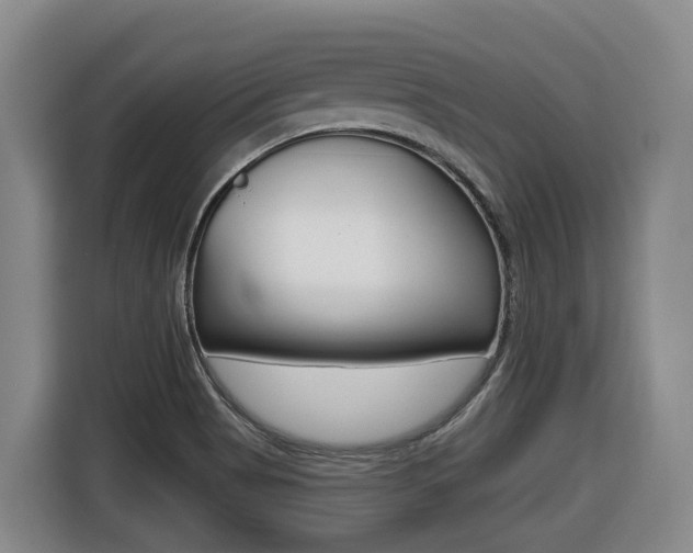 X0000116511513200912090937