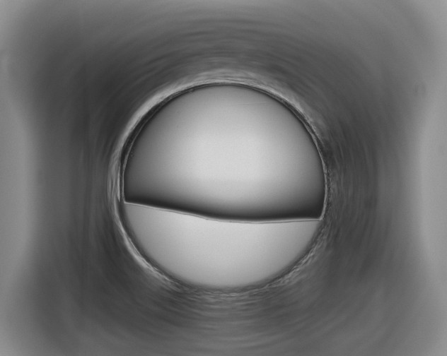 X0000116511515200912090937