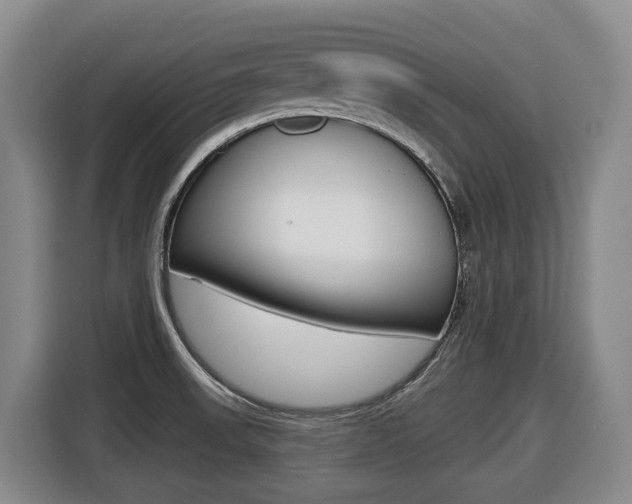 X0000116511523200912090937