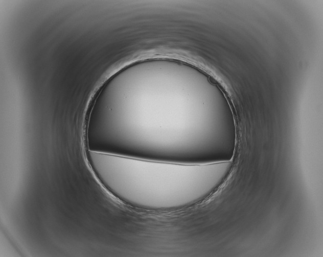 X0000116511525200912090937