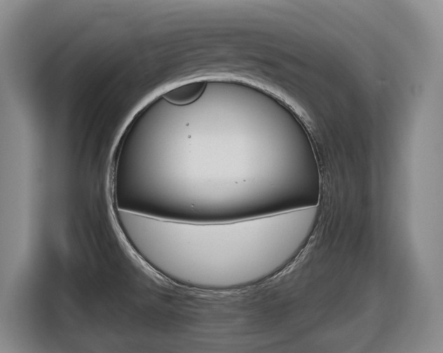X0000116511526200912090937