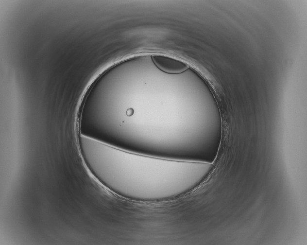 X0000116511527200912090937