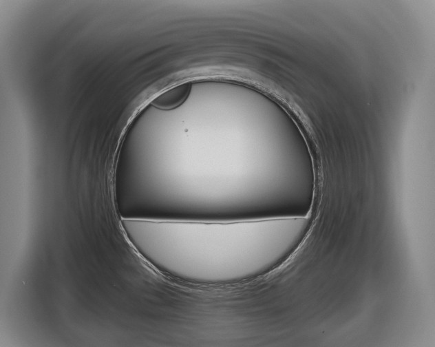X0000116511529200912090937