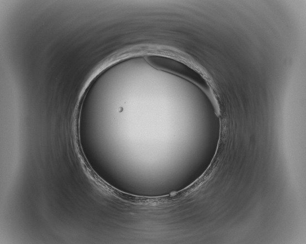 X0000116511530200912090937