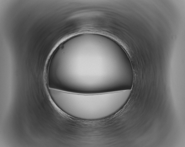 X0000116511531200912090937