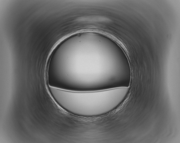 X0000116511533200912090937