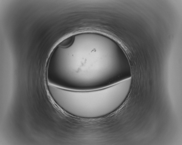 X0000116511534200912090937