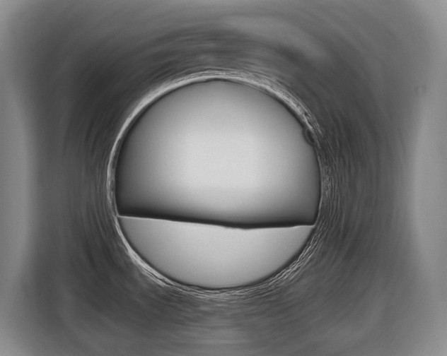 X0000116511535200912090937