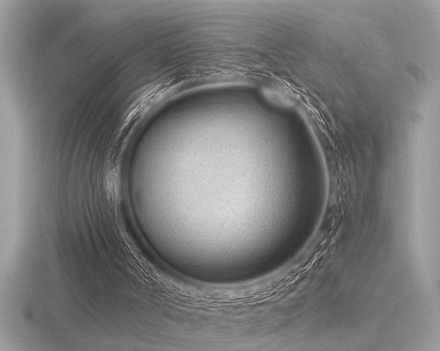 X0000116510002200912091458
