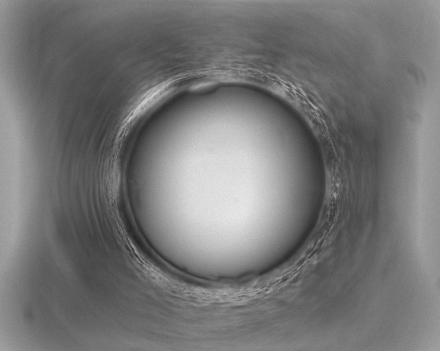 X0000116510005200912091458