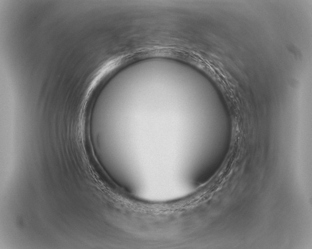 X0000116510006200912091458